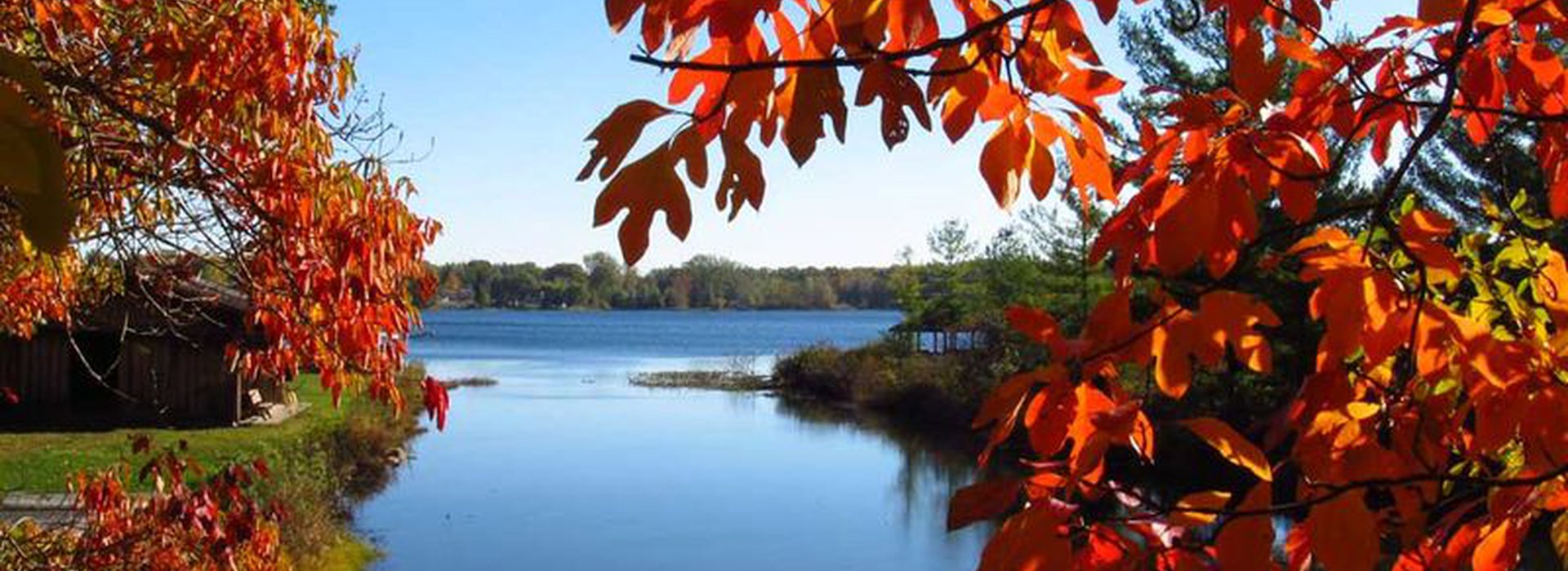 lake with orange tree